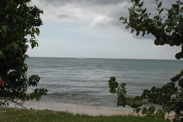 A Photo Walk along Negril's Famous Seven Mile Beach - Negril Travel Guide, Negril Jamaica WI - http://www.negriltravelguide.com - info@negriltravelguide.com...!